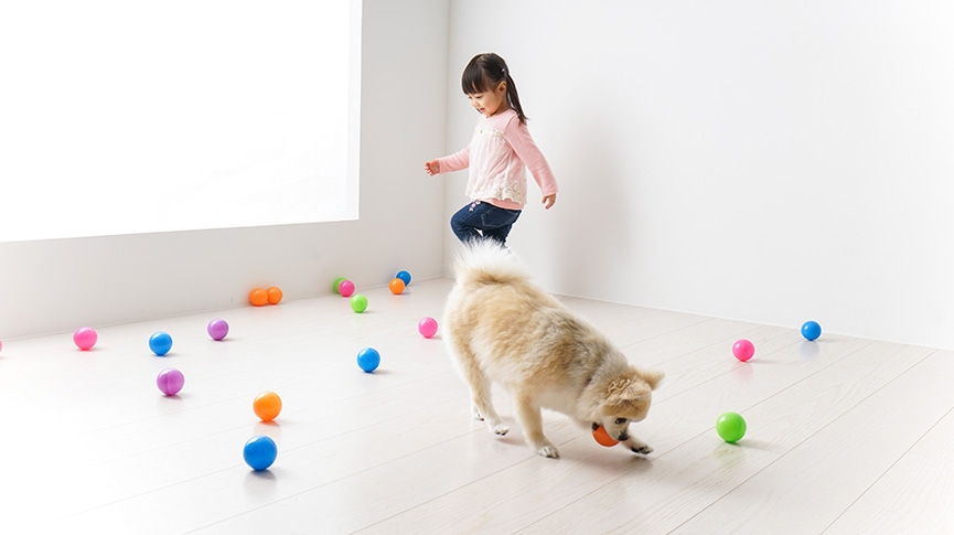 狗狗防滑地墊有用嗎-家居防滑地墊功能-選購重點全攻略